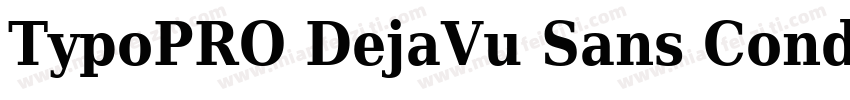 TypoPRO DejaVu Sans Condensed Bold字体转换